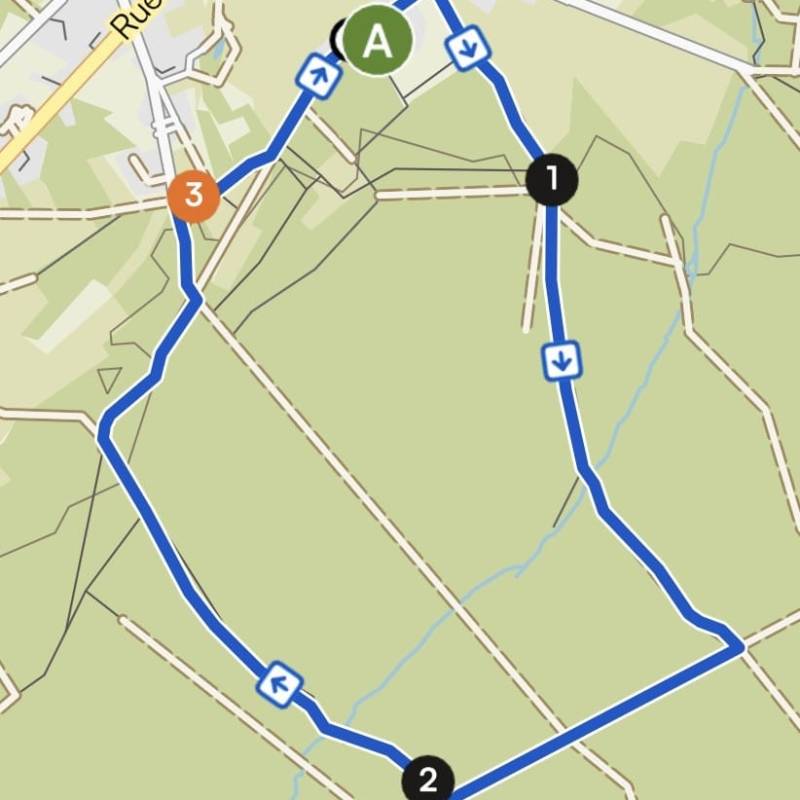 20260207 – Wandeling/Promenade